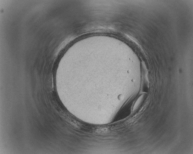 X0000068831267200605261606