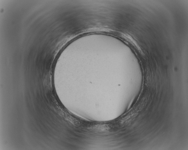 X0000068831268200605261606