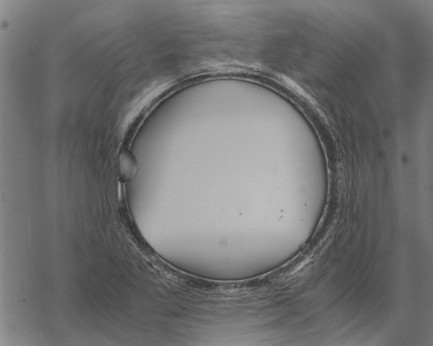 X0000068831269200605261606