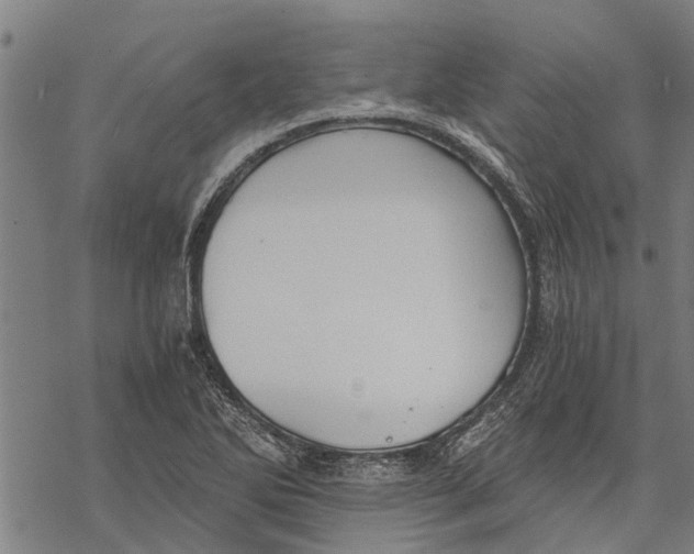 X0000068831270200605261606