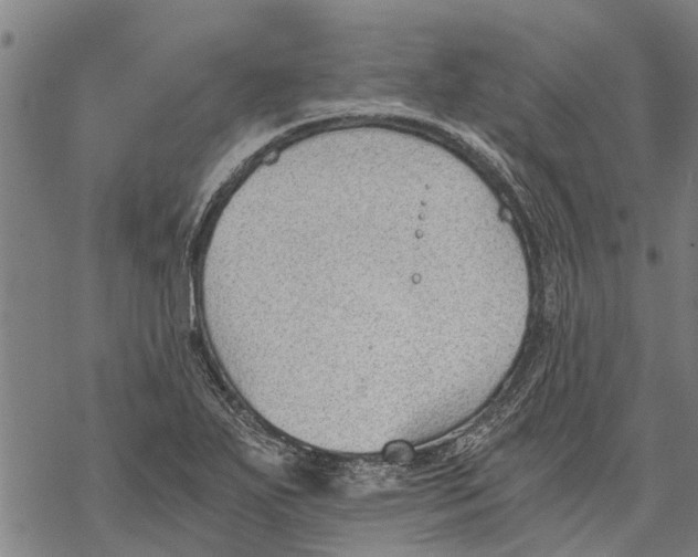 X0000068831271200605261606