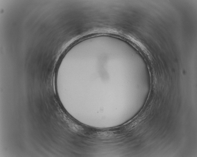 X0000068831272200605261606