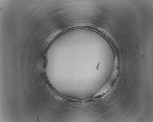 X0000068831273200605261606