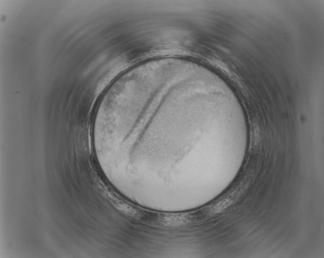 X0000068831274200605261606