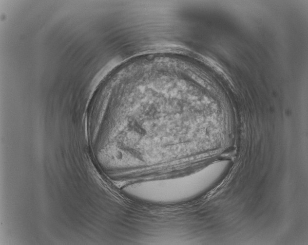 X0000068831275200605261606