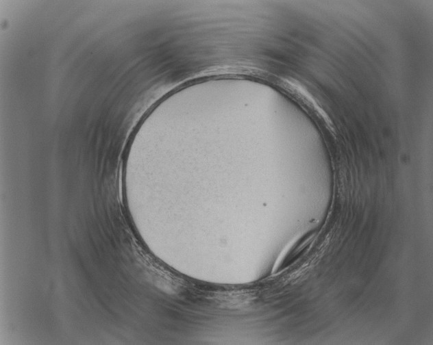 X0000068831276200605261606