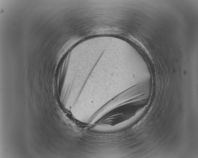 X0000068831277200605261606