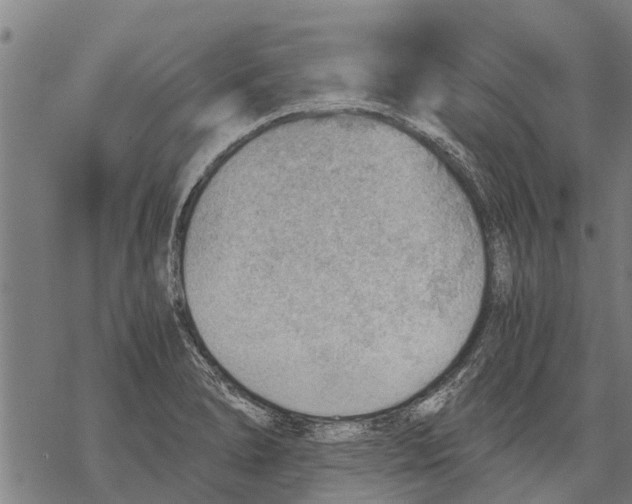 X0000068831278200605261606