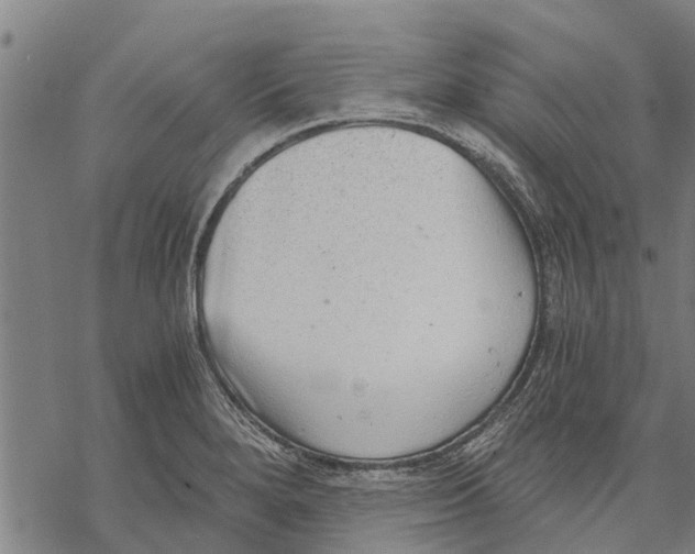 X0000068831280200605261606