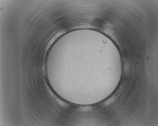 X0000068831282200605261606