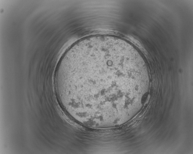 X0000068831283200605261606