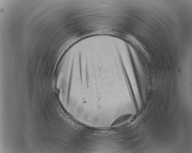 X0000068831284200605261606