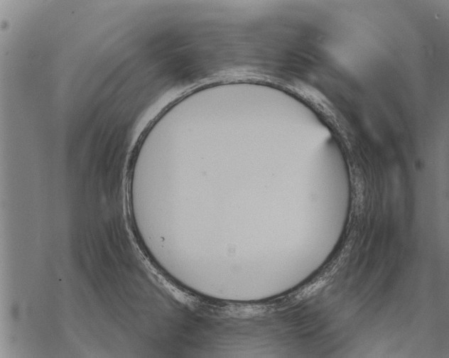 X0000068831286200605261606