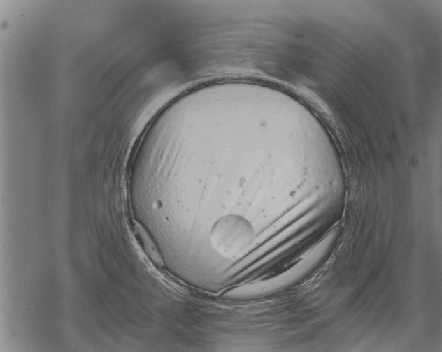 X0000068831287200605261606