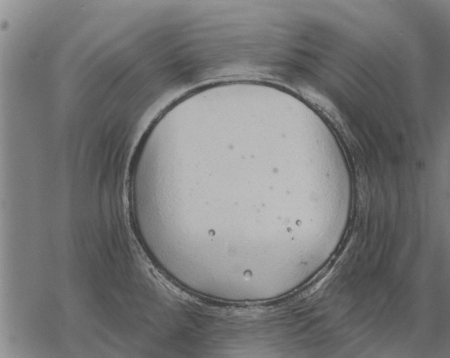 X0000068831288200605261606