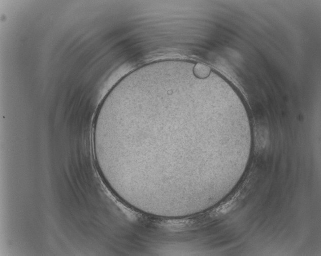 X0000068831290200605261606