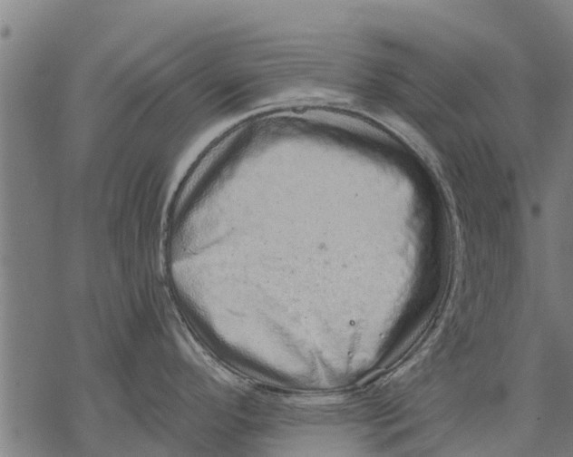 X0000068831296200605261606