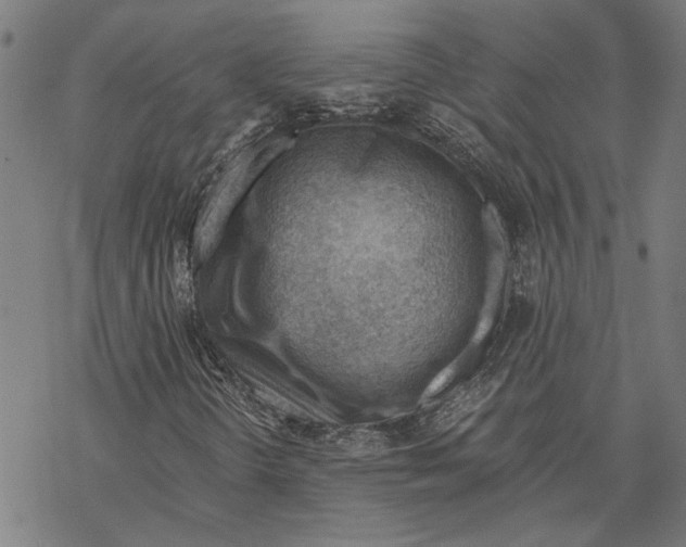 X0000068831298200605261605