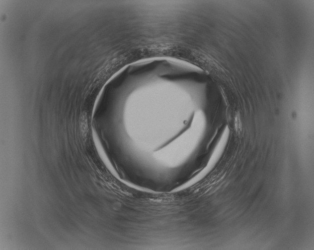 X0000068831299200605261605