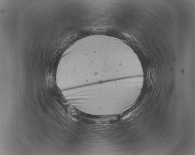 X0000068831300200605261605