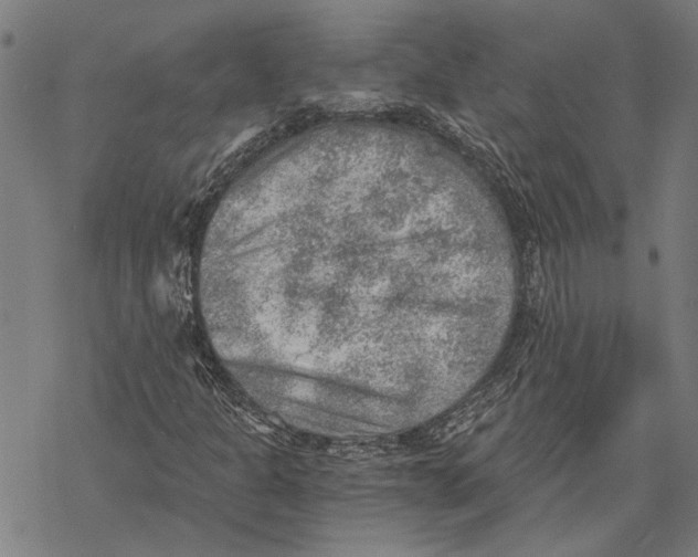 X0000068831301200605261605