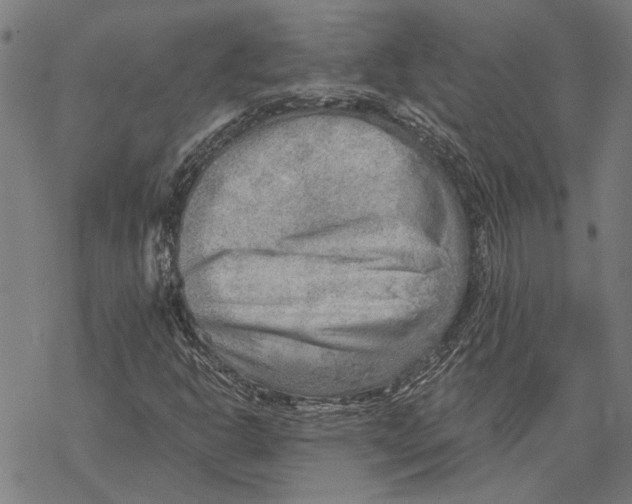 X0000068831302200605261605