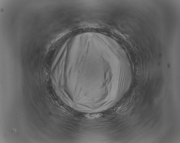 X0000068831303200605261605