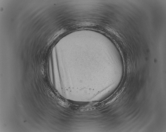 X0000068831305200605261605