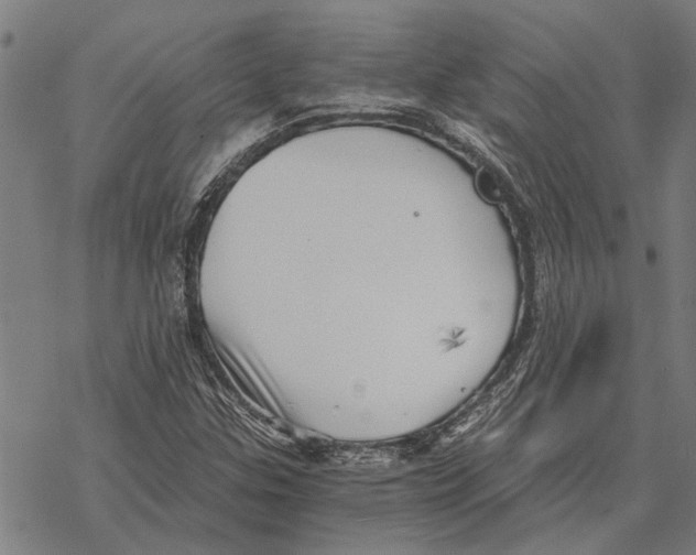 X0000068831307200605261605