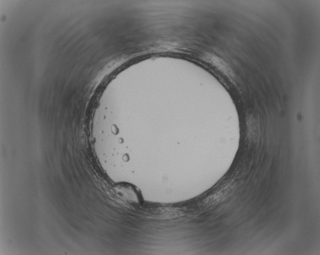 X0000068831308200605261605