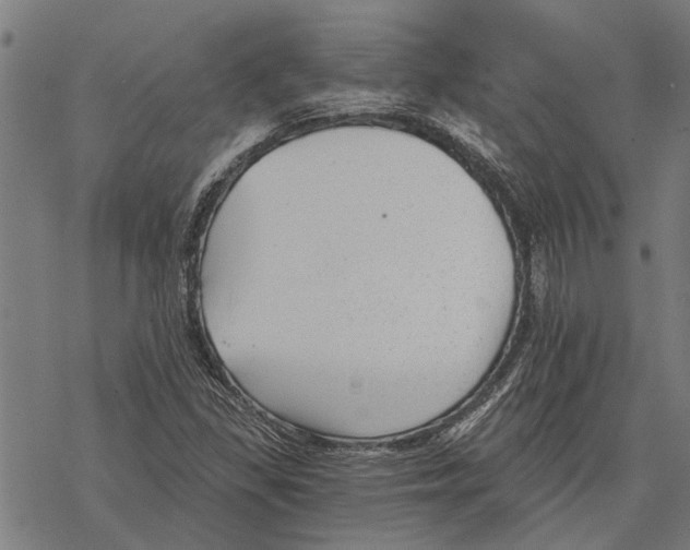 X0000068831309200605261605