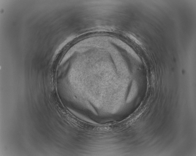 X0000068831310200605261605