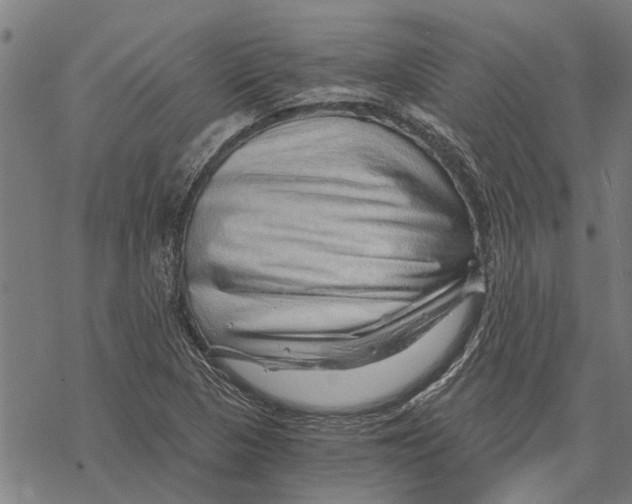 X0000068831313200605261605