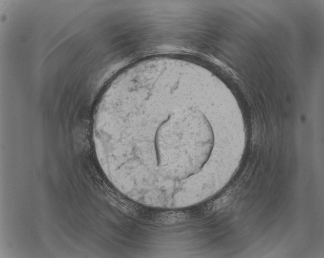 X0000068831314200605261605