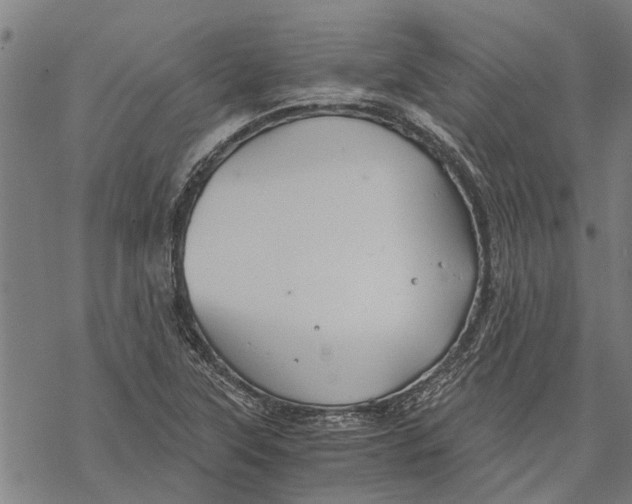 X0000068831315200605261605