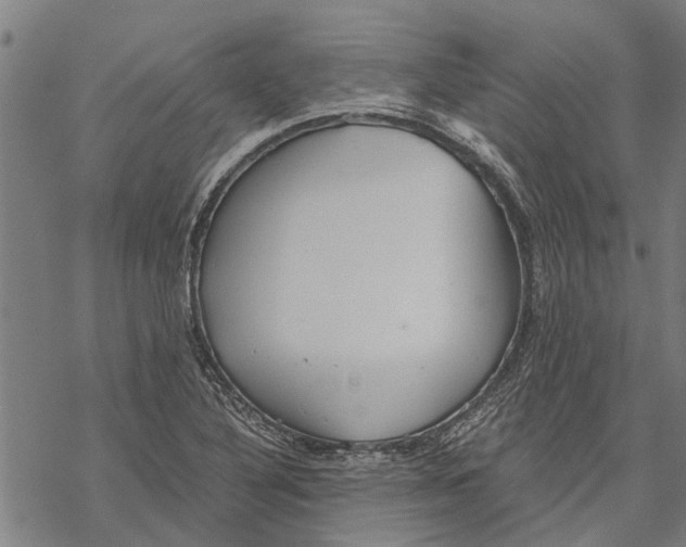 X0000068831316200605261605