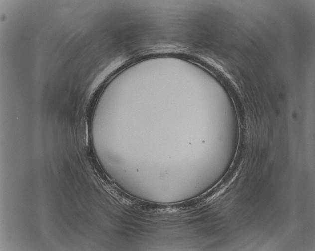 X0000068831317200605261605