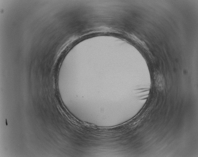 X0000068831318200605261606