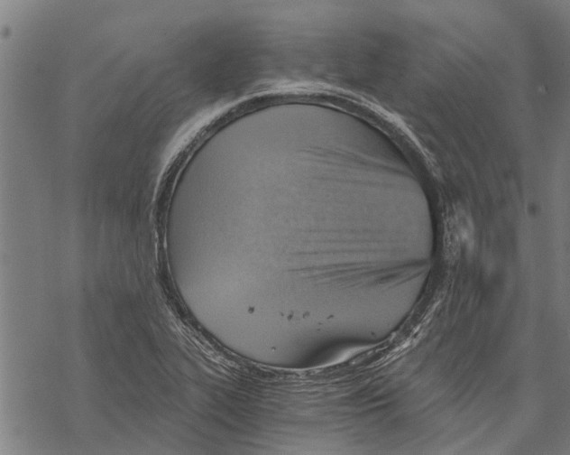 X0000068831319200605261606