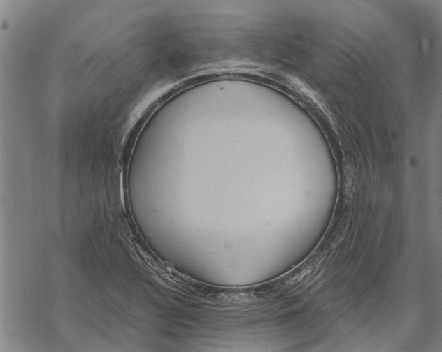 X0000068831320200605261606