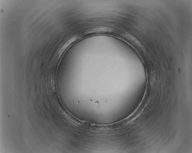 X0000068831321200605261606