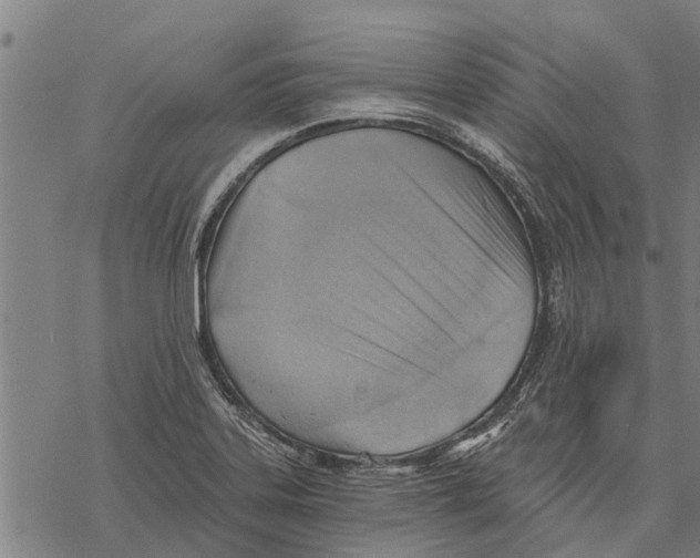 X0000068831323200605261606