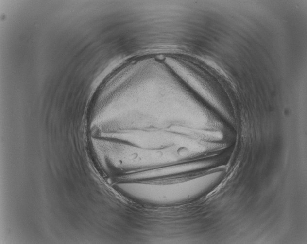 X0000068831325200605261606