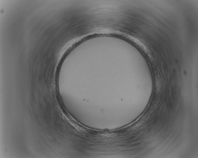 X0000068831327200605261606