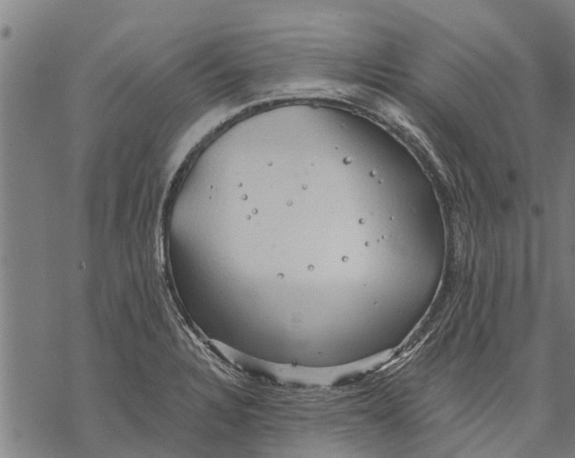 X0000068831328200605261606