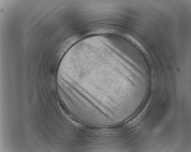 X0000068831329200605261606