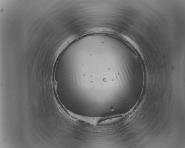 X0000068831330200605261606