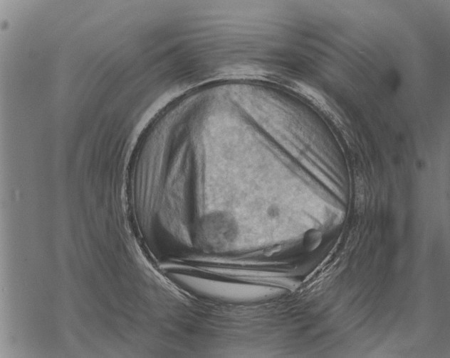 X0000068831331200605261606