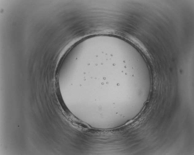 X0000068831332200605261606