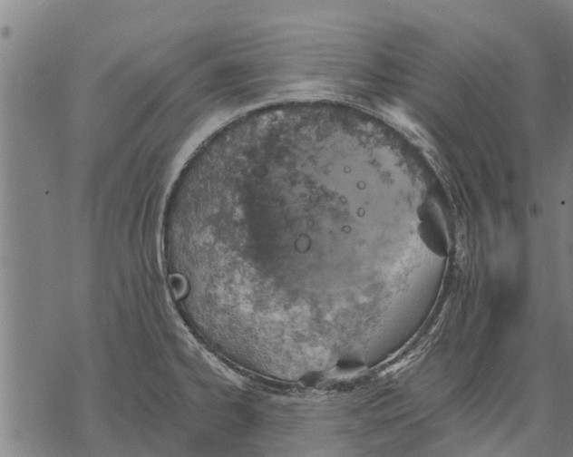 X0000068831334200605261606